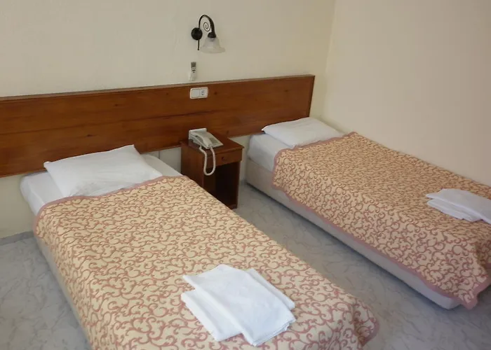 Oezguer Hotel * 费特希耶